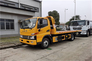 真新车辆公路救援